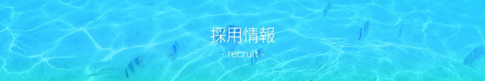 採用情報